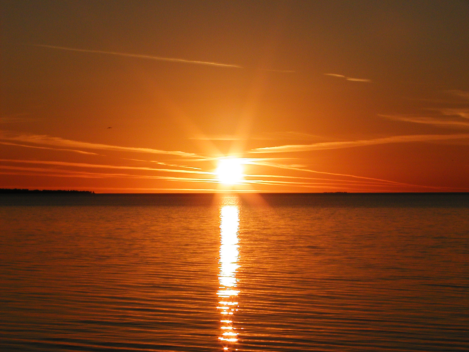 HOME Century 21 Blue Sky Region Realty Inc. Brokerage