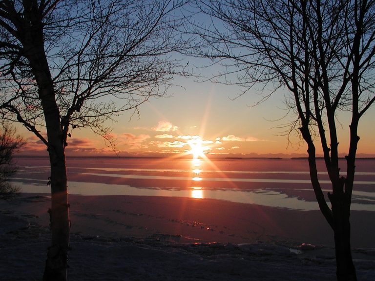 HOME Century 21 Blue Sky Region Realty Inc. Brokerage